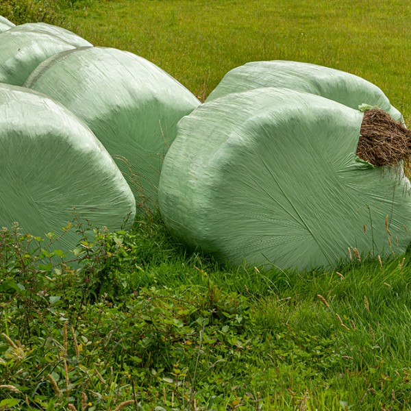  Haylage