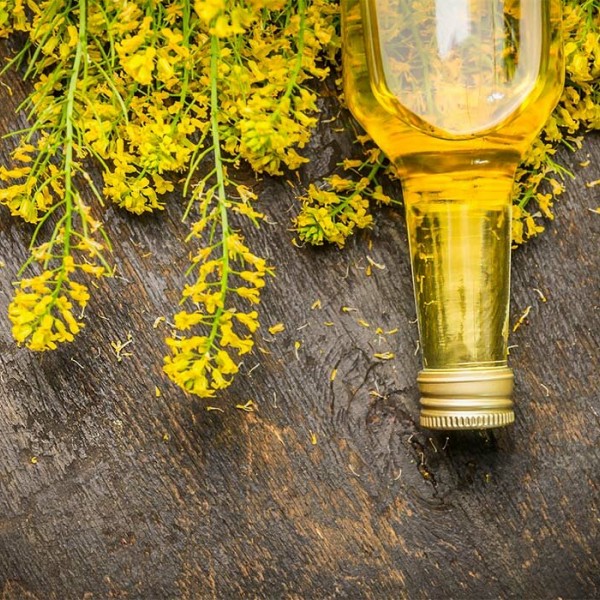 Rapeseed oil