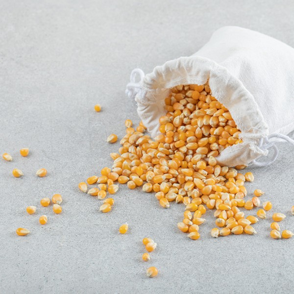 Feed/food corn